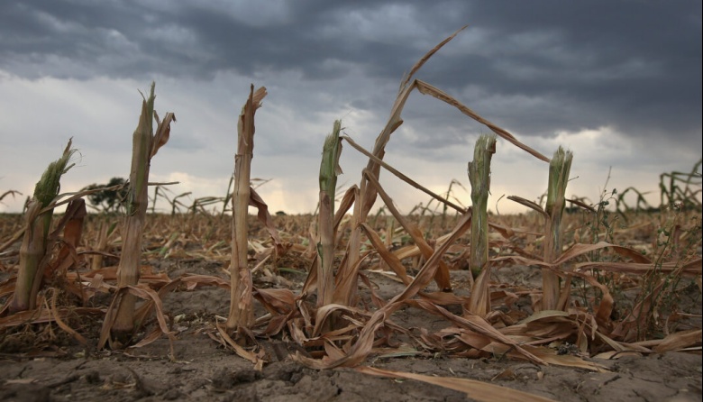 La Provincia declaró la emergencia por sequía a productores de Dorrego y Pringles